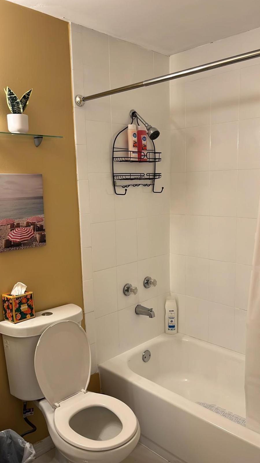 הוילה מיאמי Beautiful, Fully Furnished 4Bed 2Bath House - 5 Minute Walk To Miracle Mile Downtown Coral Gables מראה חיצוני תמונה